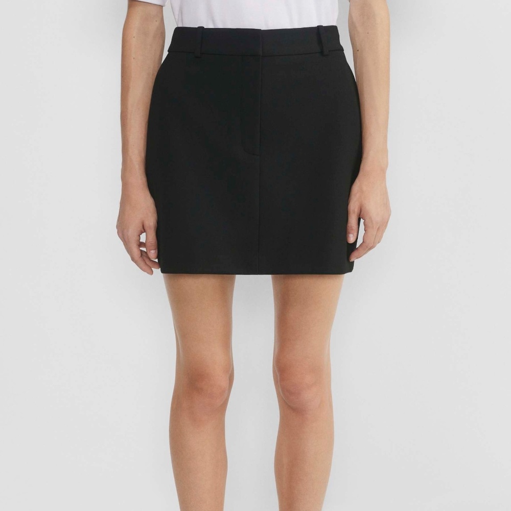 Aritzia Babaton Chisel Skirt
